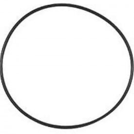 Paramount 6 In-Floor Canister O-Ring