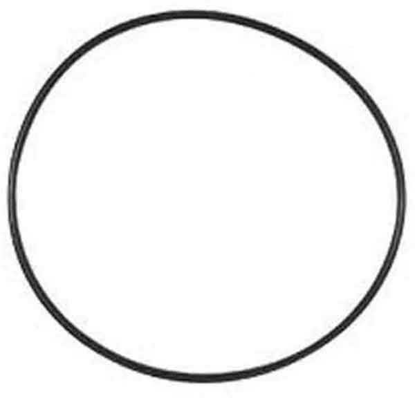 Paramount 6 In-Floor Canister O-Ring